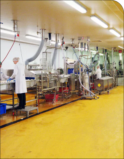 Food processing plant with coated floors