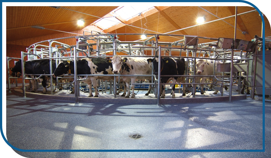 Livestock Flooring Coatings