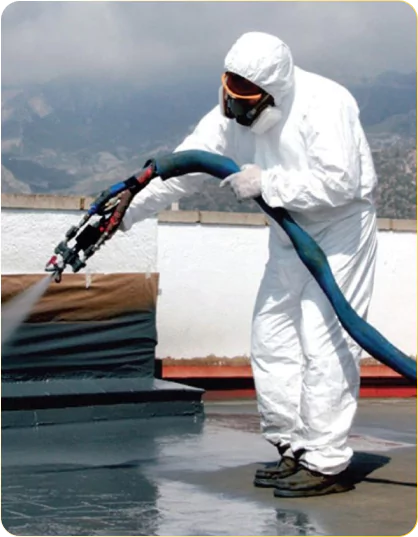 Professional Waterproofing Spray Application