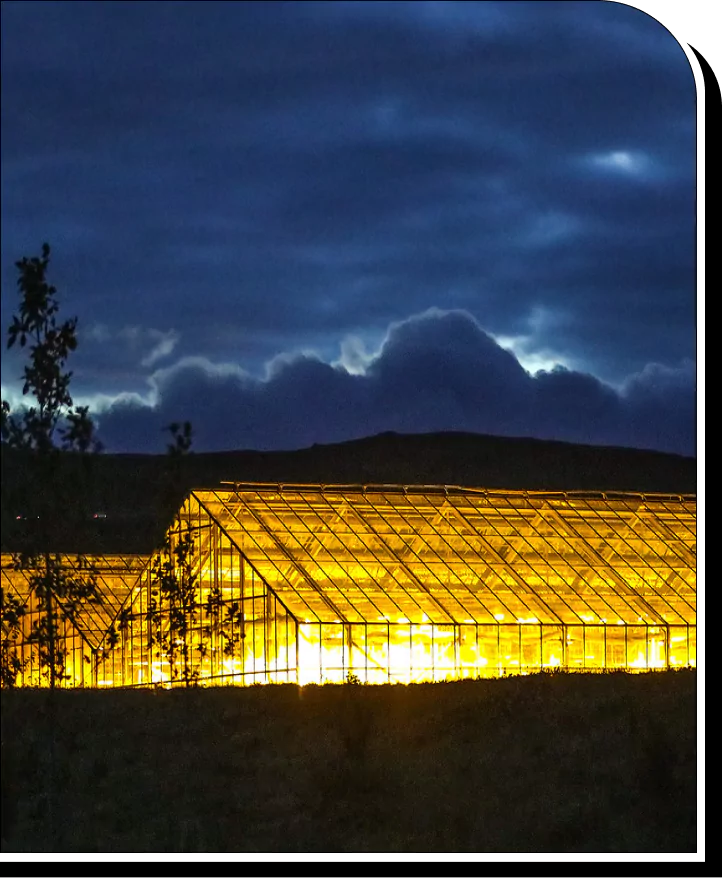 Greenhouse illuminated at night