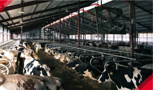 Livestock Coatings