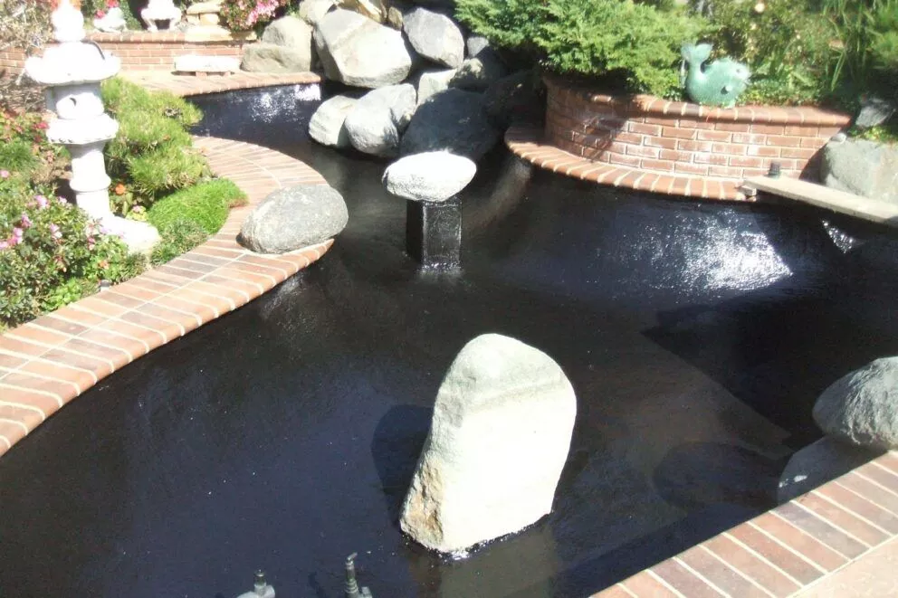 polyurea koi pond