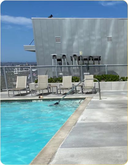 Polyurea pool water fountain coatings