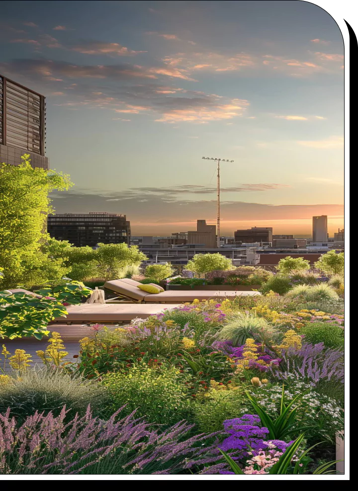 Vibrant rooftop garden with diverse plants